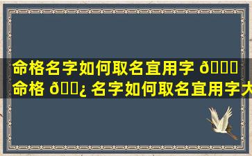 命格名字如何取名宜用字 💐 「命格 🌿 名字如何取名宜用字大全」